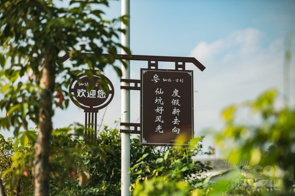 鄉(xiāng)村文旅設(shè)計如何結(jié)合鄉(xiāng)村音樂會和藝術(shù)展覽？
